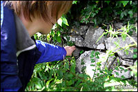 Locating a cache in the rocks