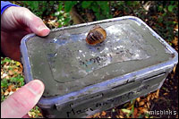 Will this snail let us into the cache box?