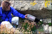 Extracting a geocache from under a boulder
