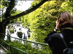 Admiring the Swallow Falls waterfall nr Betws-y-coed in N. Wales