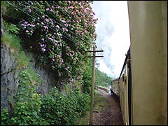 The steam train running through the beautiful Cumbria countryside