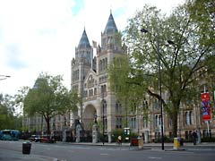 The Natural History Museum in South Kensington, London