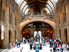 Central Hall in the Natural History Museum