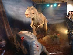 Natural History Museum: Tyrannosaurus Dinosaur animatronic model