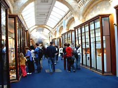 Fishes, Amphibians and Reptiles gallery in the Natural History Museum