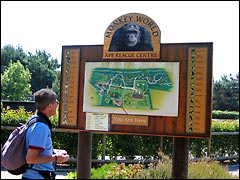 Monkey World site map, Dorset