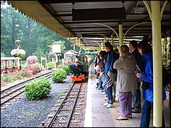 The Longleat Railway train arriving at the station