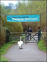 Entrance to the Wetlands Centre at Arundel