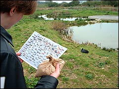 Studying the wildfowl leaflet at Arundel's Wildfowl & Wetlands Centre