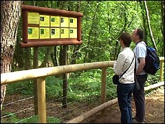 Information point on Monkey World's woodland walk