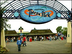 Thorpe Park Theme Park Thrill Rides Farm Nr Chertsey Surrey