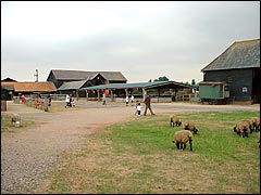 Thorpe Farm, part of Thorpe Park at Chertsey in Surrey