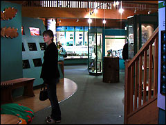 Looking round the New Forest Museum and Visitor Centre in Lyndhurst, Hampshire