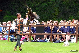 Birds of prey display falconry demonstration at Warwick Castle