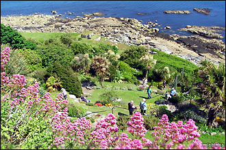 St Michael's Mount sub-tropical gardens in Cornwall