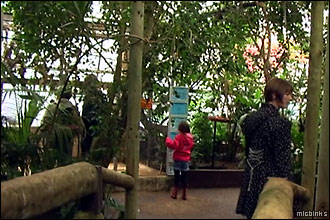 Tropical rainforest at Amazon World on the Isle of Wight
