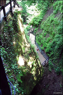Looking down Shanklin Chine, Isle of Wight