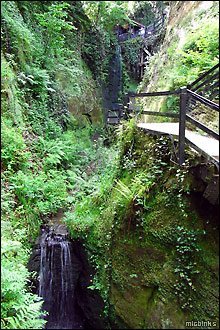 Shanklin Chine waterfalls and walkway