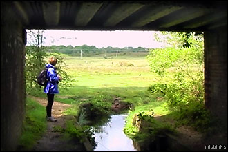Stream running under an old railway line bridge in the New Forest, Hampshire