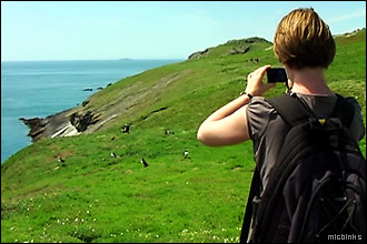 Skomer Island, Pembrokeshire: seabird spotting at The Wick