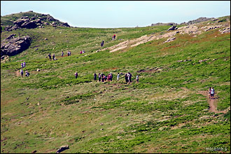 People along the track on Skomer in Pembrokeshire