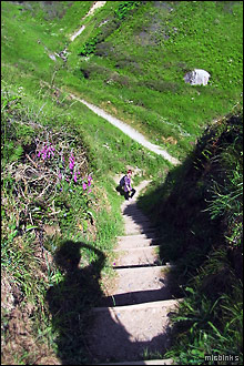 Steps downward along the Pembrokeshire Coast Path
