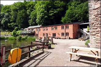 Dean Heritage Centre mill pond