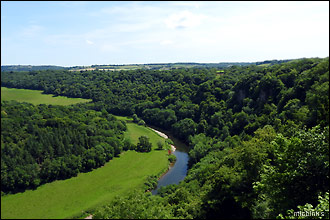 Symonds Yat Rock: looking for Peregrine Falcons along the Wye Valley