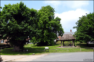 Martyrs' Tree and Memorial Shelter at Tolpuddle
