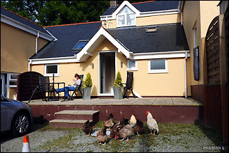 Snowdonia holiday cottage, Llanrwst